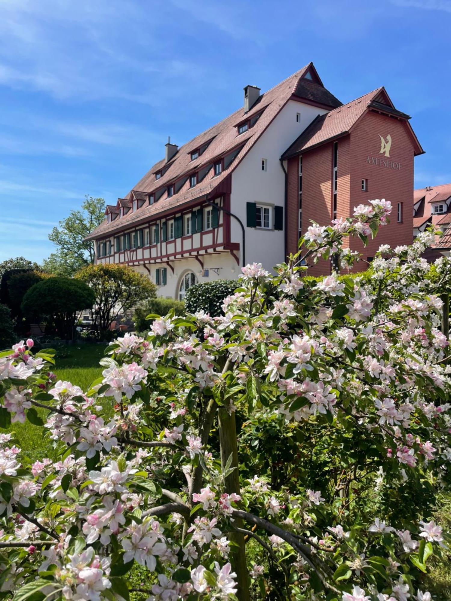 Seehotel Amtshof Hotel